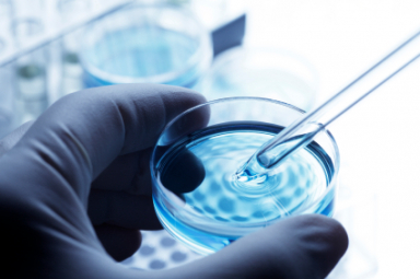 Examen streptococcus agalactiae cultivo cheap